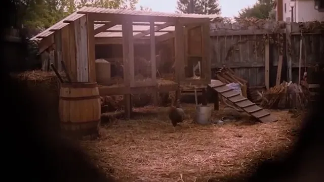 Flipped Scene 1