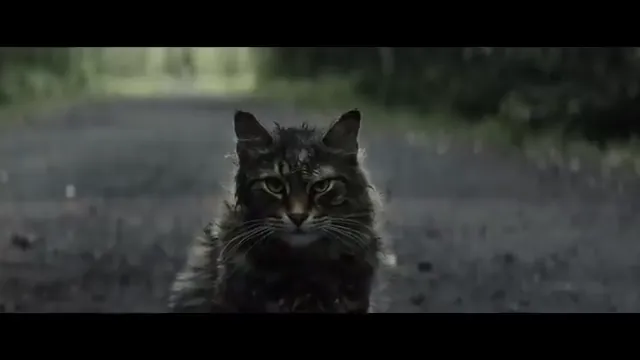 Pet Sematary Scene 3