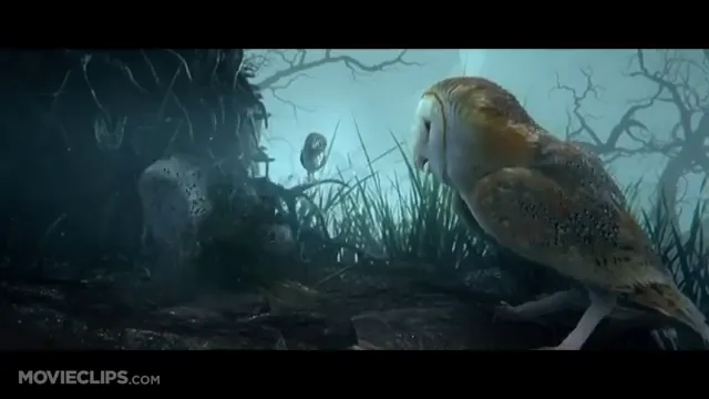 Legend of the Guardians: The Owls of Ga'Hoole Scene 4
