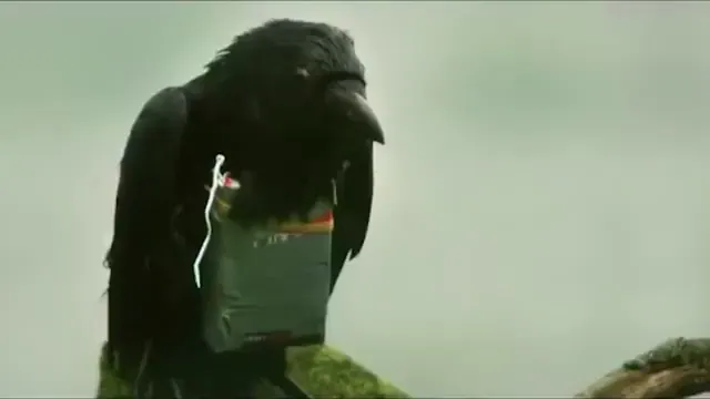 Four Lions Scene 1