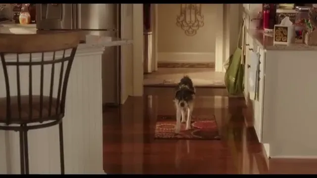Daddy's Home Scene 3
