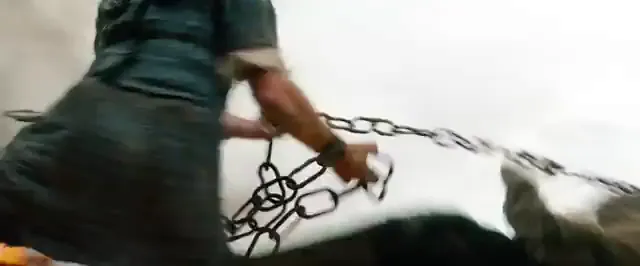 Wrath of the Titans Scene 4