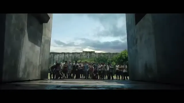 The Maze Runner Scene 2