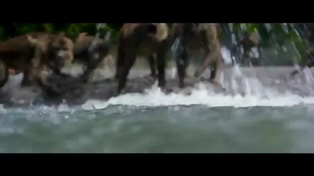 After Earth Scene 5