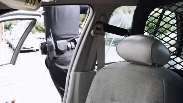 End of Watch Scene 3