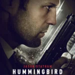 Hummingbird Movie Poster