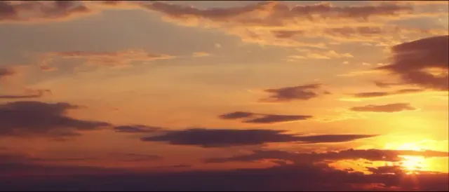 Nymphomaniac: Vol. I Scene 5