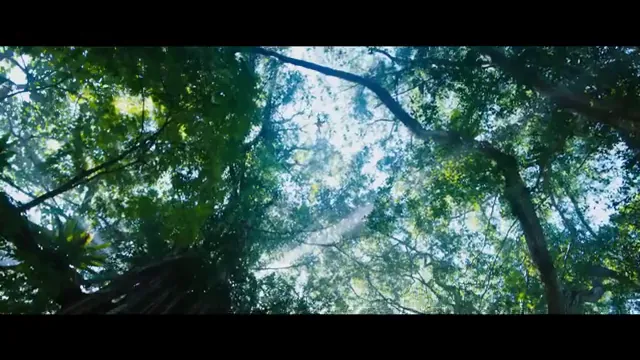 Jumanji: Welcome to the Jungle Scene 3