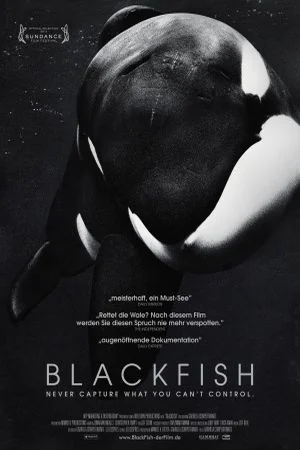 Blackfish Movie Poster