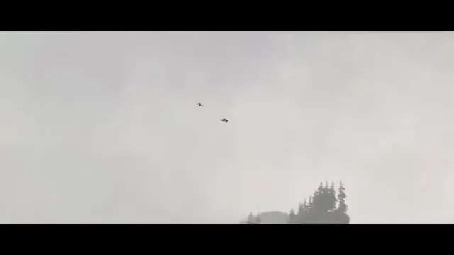 The Wild Robot Scene 2