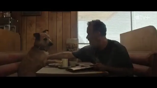 Finch Scene 2