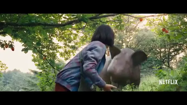 Okja Scene 1