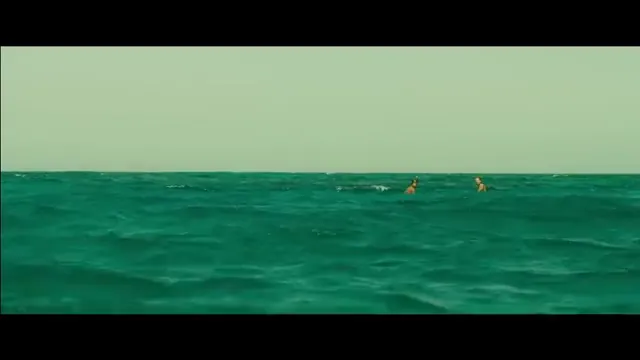 The Shallows Scene 1