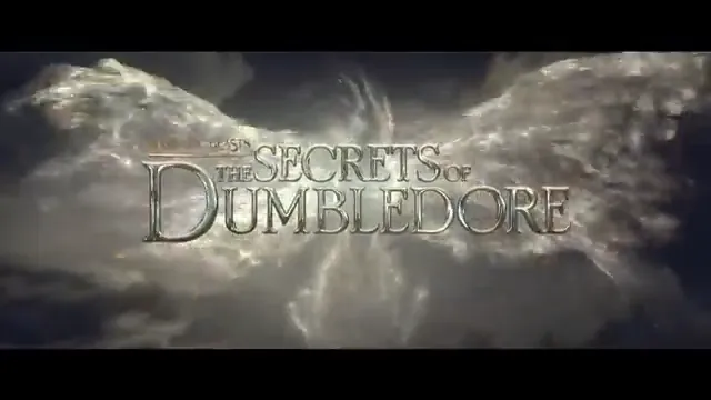 Fantastic Beasts: The Secrets of Dumbledore Scene 5