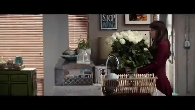 Fifty Shades Darker Scene 2