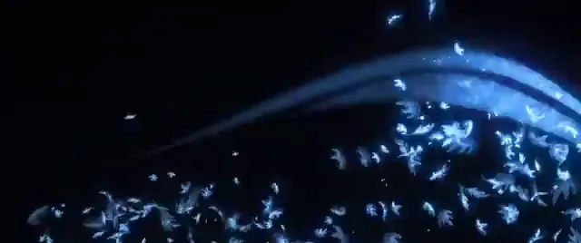 Frozen II Scene 3