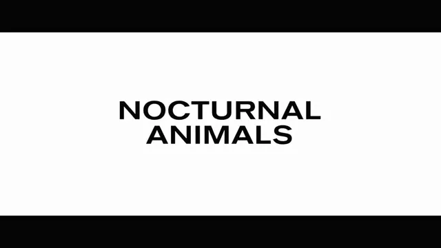 Nocturnal Animals Scene 5