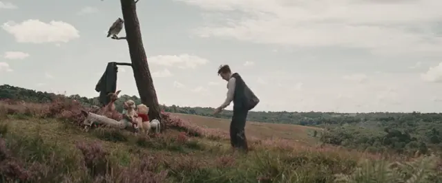 Christopher Robin Scene 4