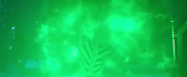 Maleficent: Mistress of Evil Scene 3