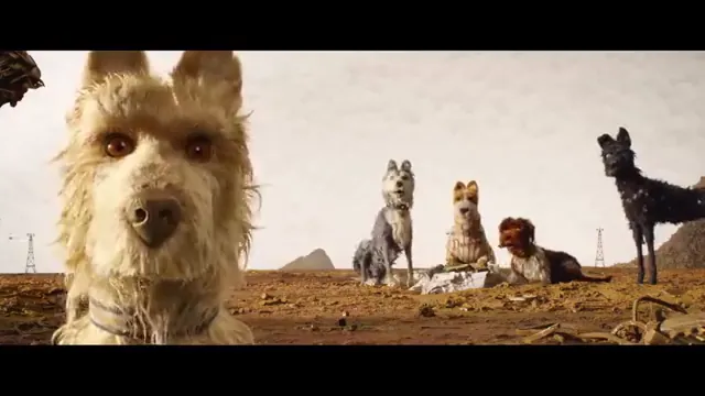 Isle of Dogs Scene 1
