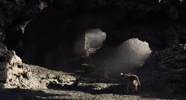 The Lion King Scene 1