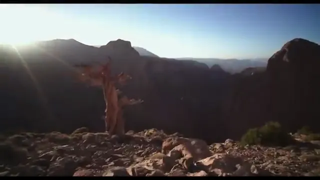 Free Solo Scene 5