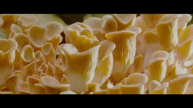 The Menu Scene 2