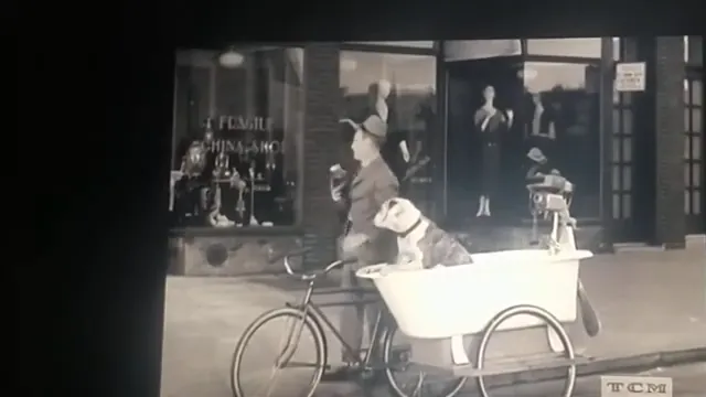 Monkey Business Scene 2