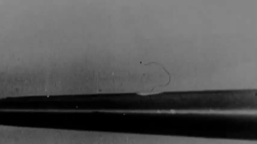 Twelve O'Clock High Scene 4