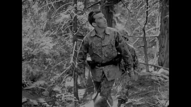 Fear and Desire Scene 1