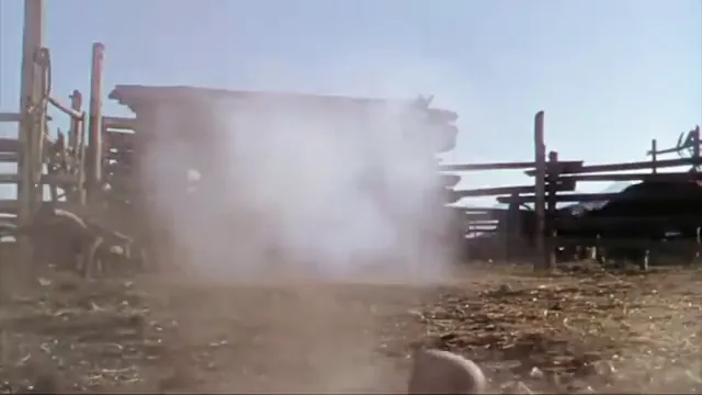 Shane Scene 3