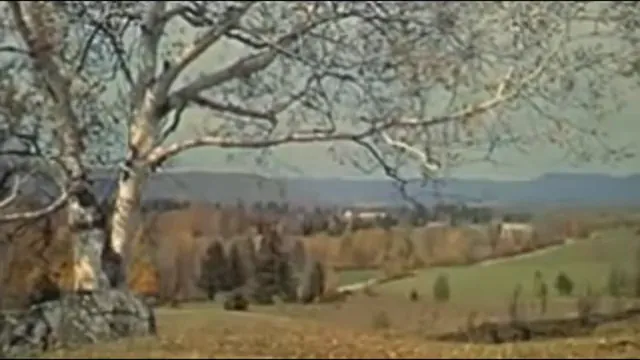 The Trouble with Harry Scene 1