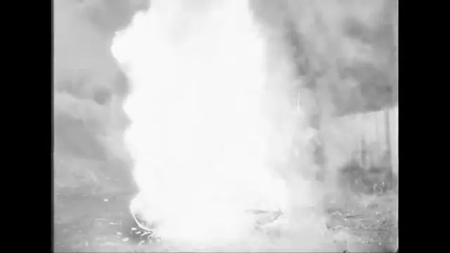 Invasion of the Body Snatchers Scene 2