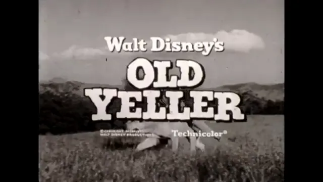 Old Yeller Scene 5