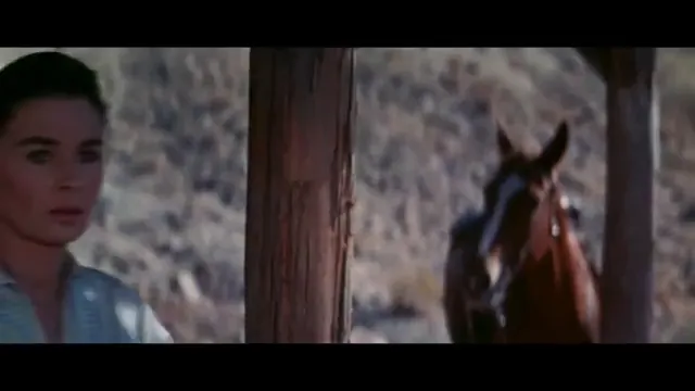 The Big Country Scene 2