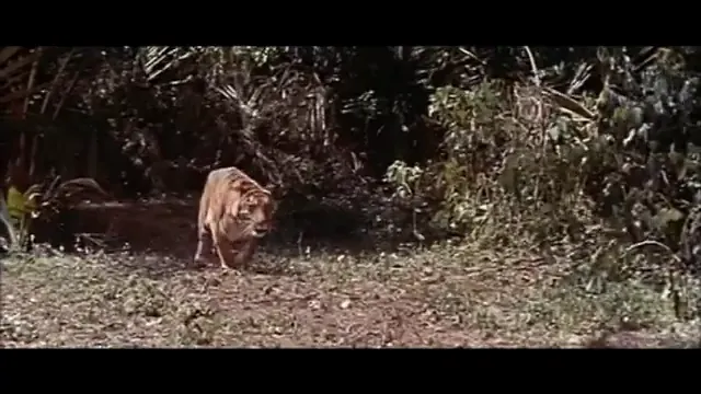 Swiss Family Robinson Scene 1