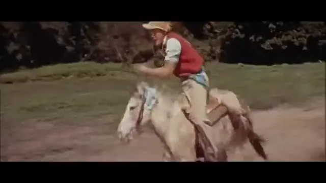 Swiss Family Robinson Scene 4