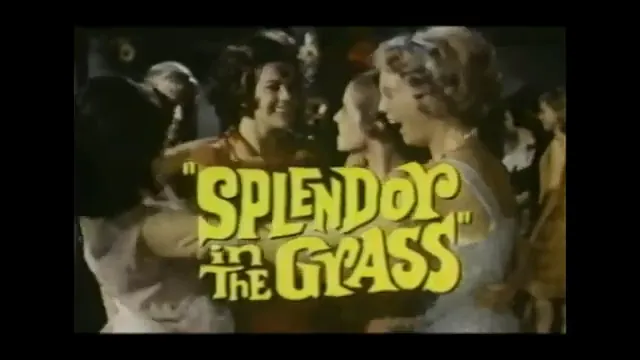 Splendor in the Grass Scene 2