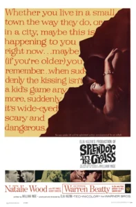 Splendor in the Grass Movie Poster