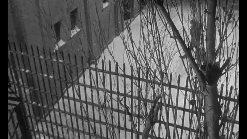 Birdman of Alcatraz Scene 2