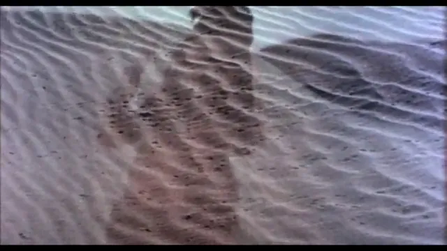 The Flight of the Phoenix Scene 5