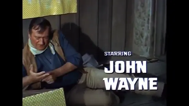 The Sons of Katie Elder Scene 2