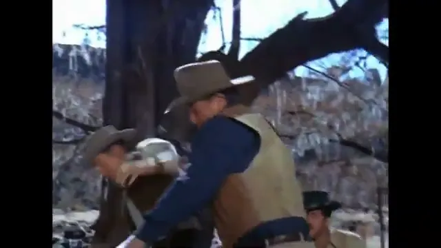 The Sons of Katie Elder Scene 5