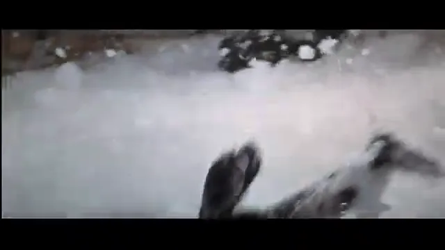 The Party Scene 5
