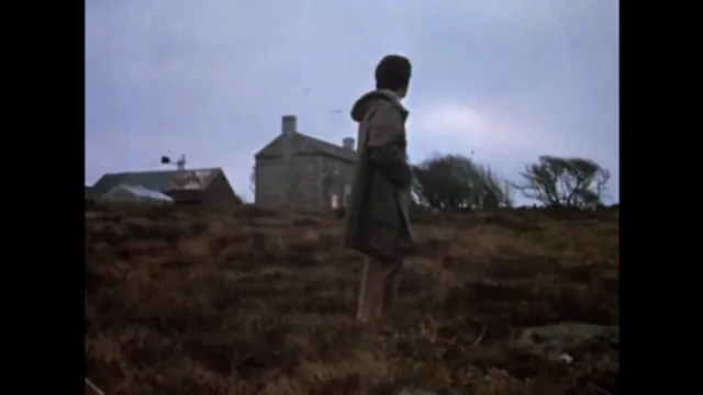 Straw Dogs Scene 3