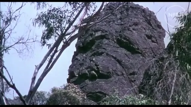 Picnic at Hanging Rock Scene 5