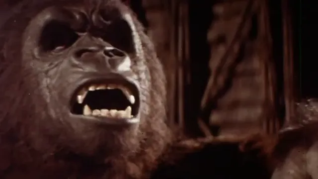 King Kong Scene 4