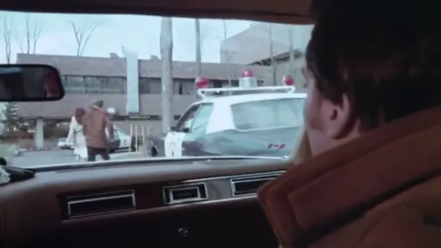 Rabid Scene 2