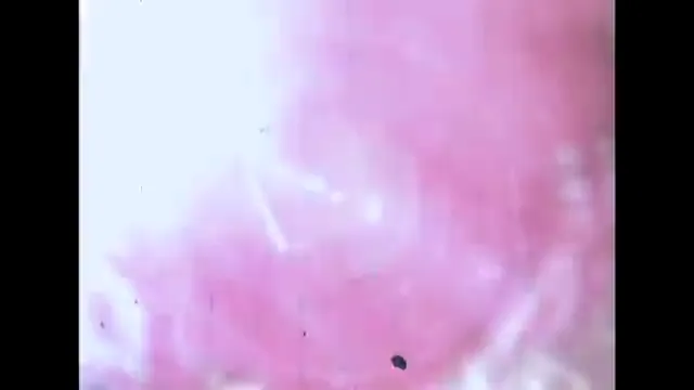 Piranha Scene 5