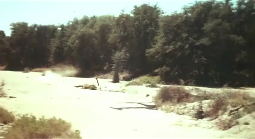 The Wild Geese Scene 4